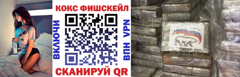 Купить где Балей КОКАИН Fish Scale