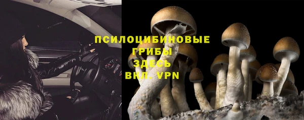 спиды Гусев