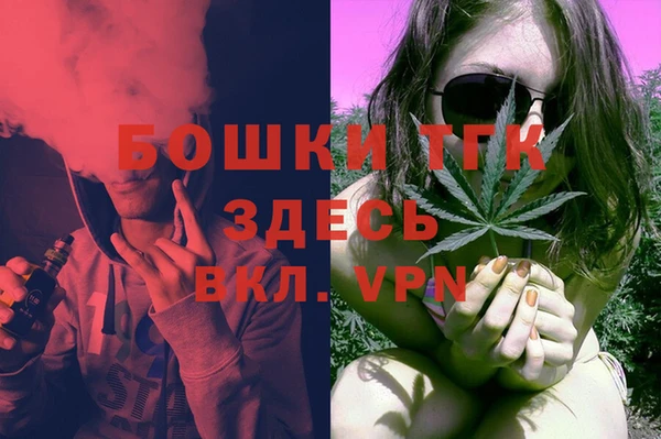 гидра Гусиноозёрск