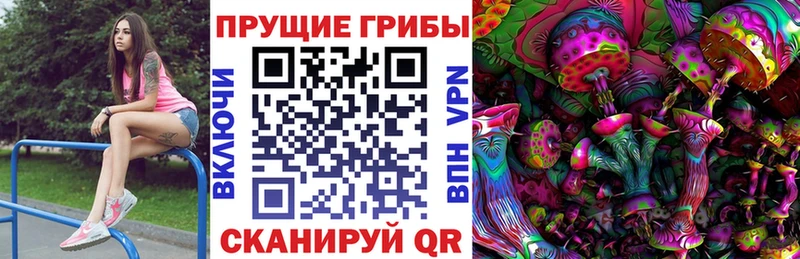 Купить  Балей  Псилоцибиновые грибы MAGIC MUSHROOMS 